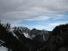 Odpri povezavo